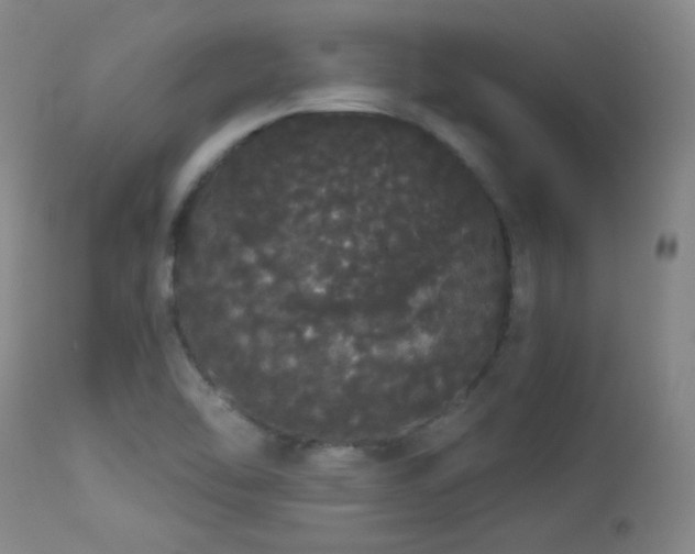X0000113981462200910021124