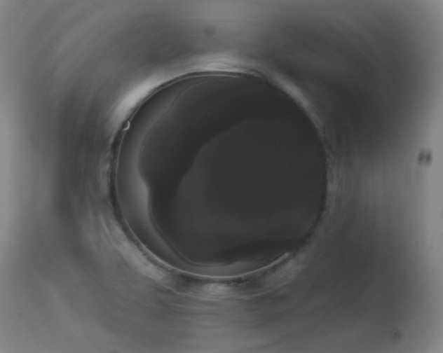 X0000113981463200910021124