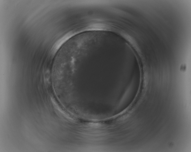 X0000113981465200910021124
