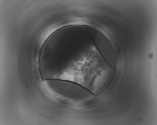 X0000113981468200910021124
