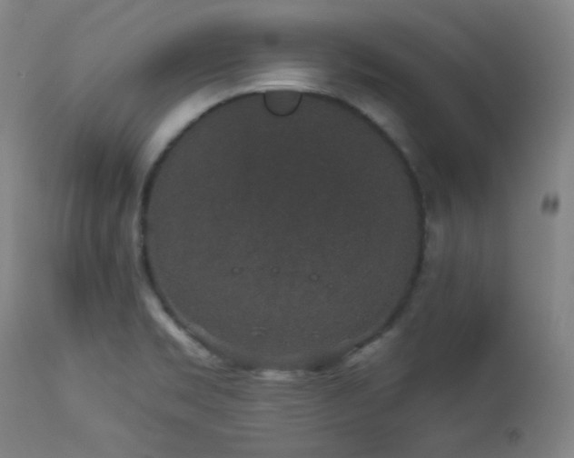 X0000113981469200910021124