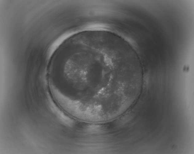 X0000113981470200910021124