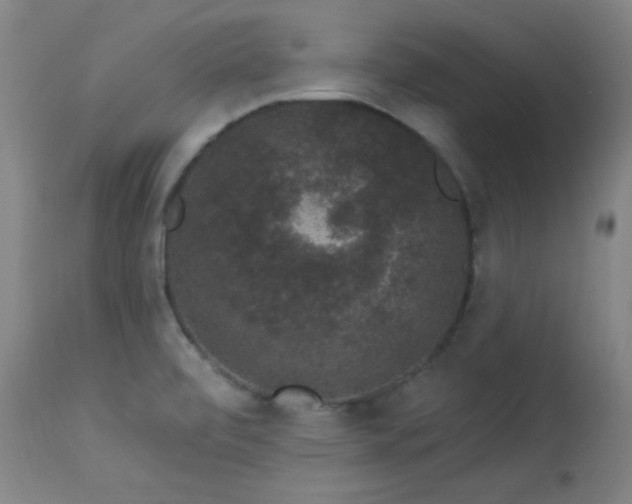 X0000113981472200910021124