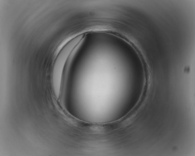 X0000113981473200910021124
