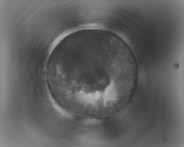 X0000113981474200910021124