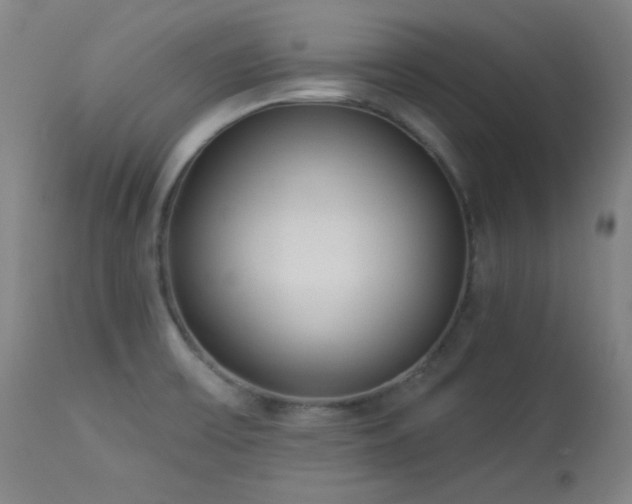 X0000113981475200910021124