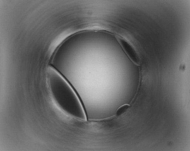X0000113981476200910021124