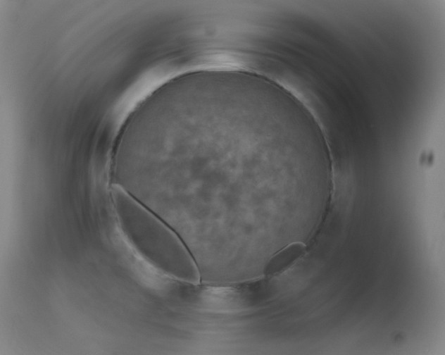 X0000113981477200910021124