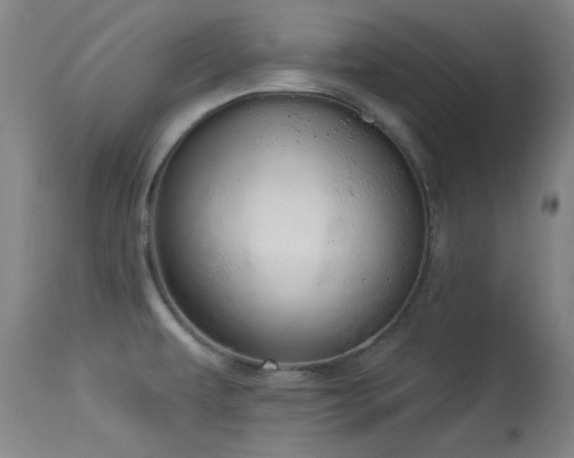 X0000113981479200910021124
