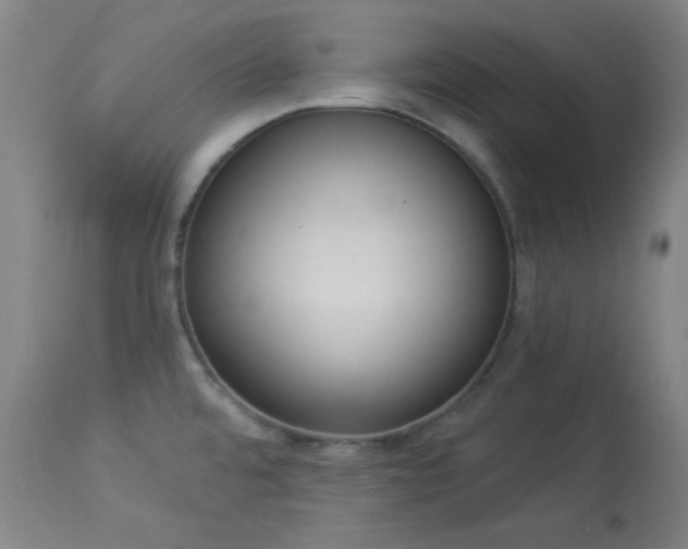 X0000113981480200910021124
