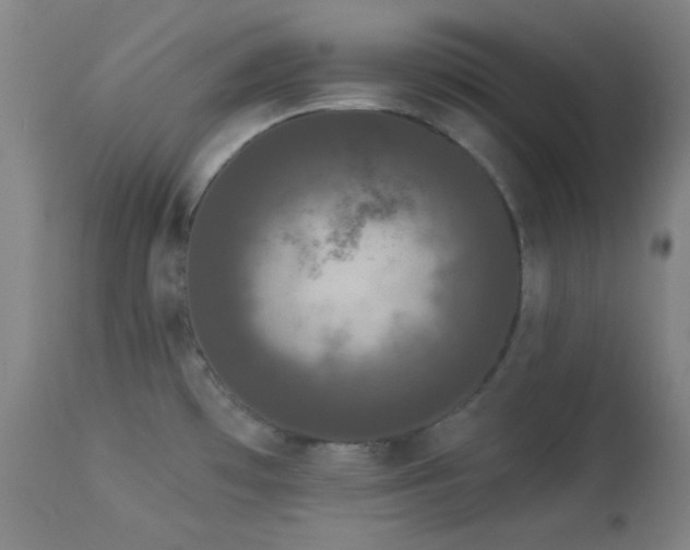 X0000113981481200910021124