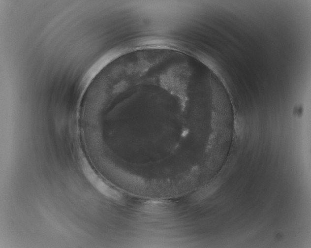 X0000113981482200910021124