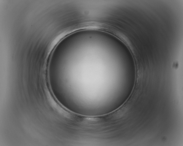 X0000113981483200910021124