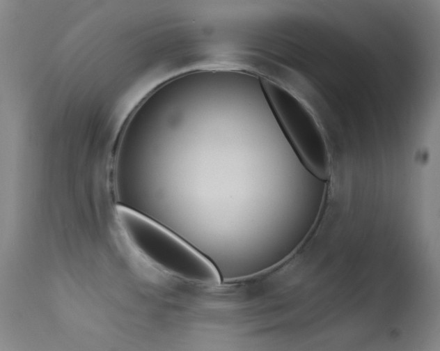 X0000113981484200910021124