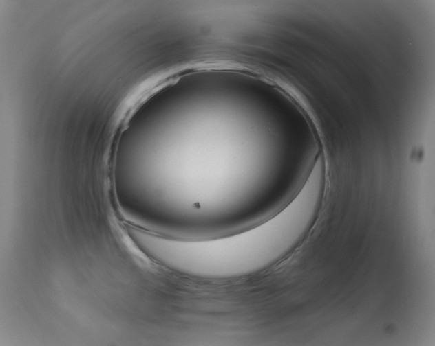 X0000113981485200910021124