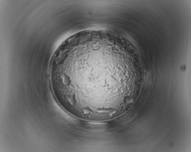 X0000113981487200910021124