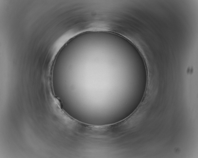 X0000113981488200910021124