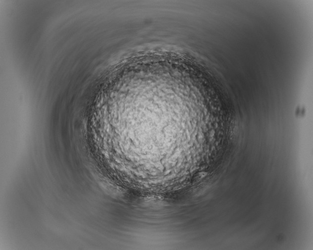 X0000113981489200910021123