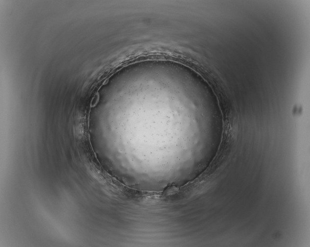X0000113981490200910021123