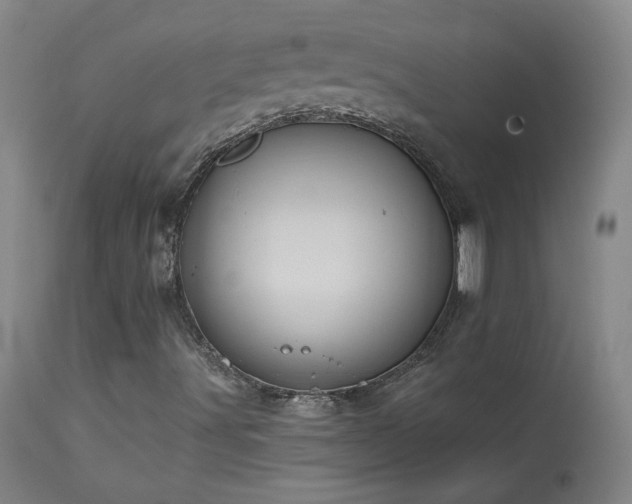 X0000113981491200910021123