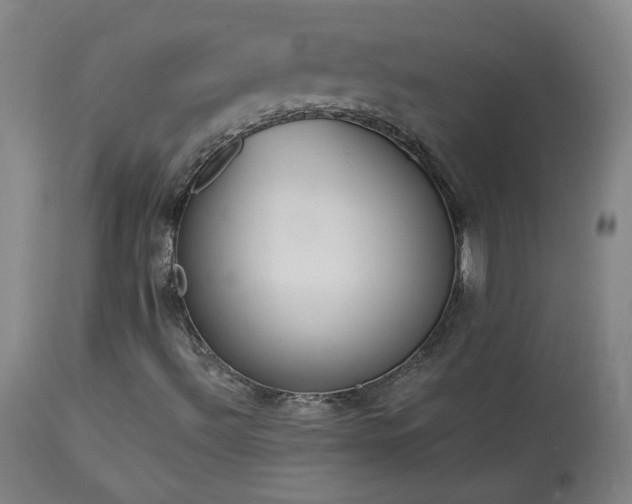 X0000113981492200910021123