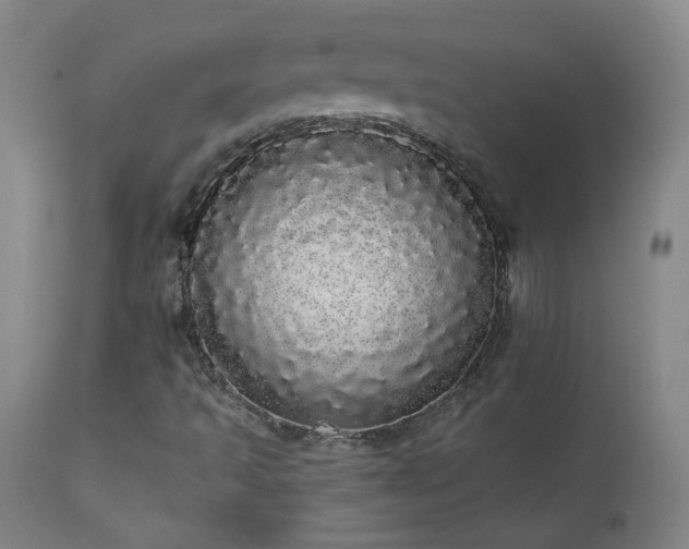 X0000113981493200910021123