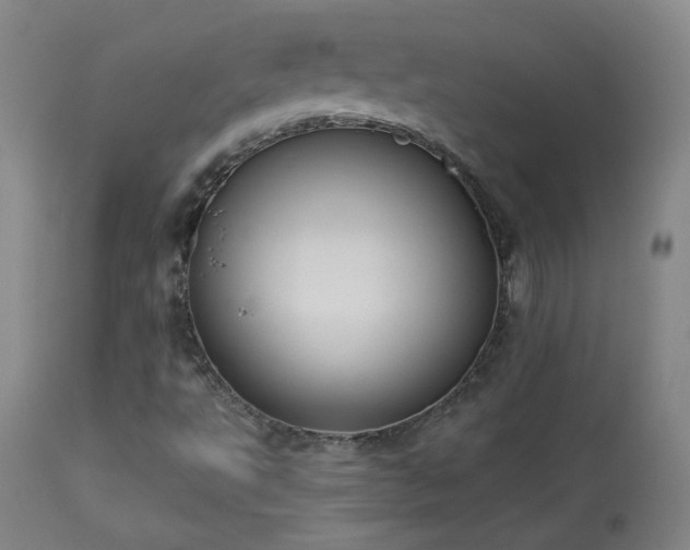 X0000113981495200910021123