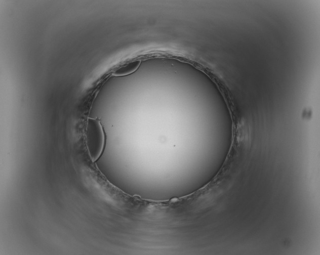 X0000113981496200910021123