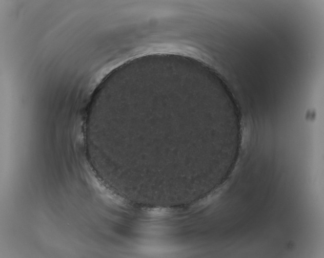 X0000113981497200910021123