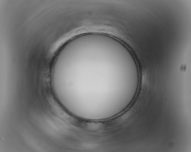 X0000113981498200910021123