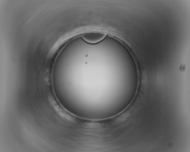 X0000113981499200910021123
