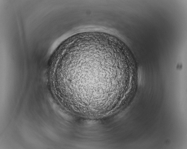 X0000113981501200910021123