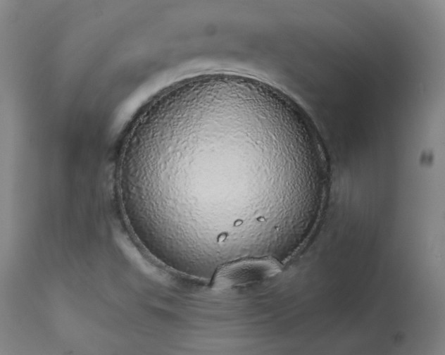 X0000113981503200910021123