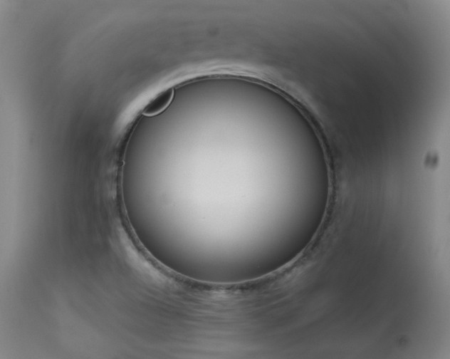 X0000113981504200910021123