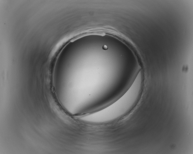 X0000113981506200910021123