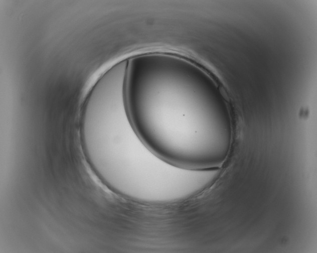 X0000113981508200910021123