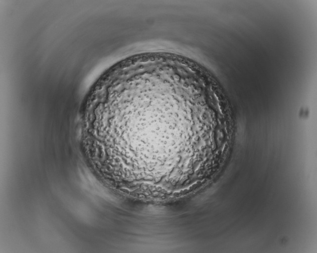 X0000113981509200910021123