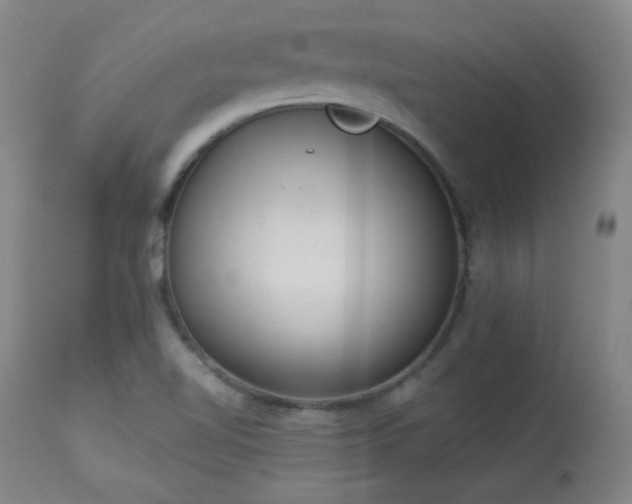 X0000113981510200910021123