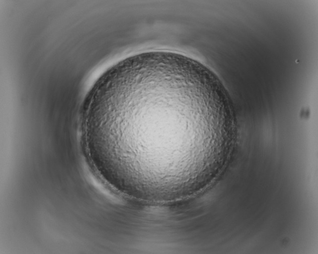 X0000113981511200910021123