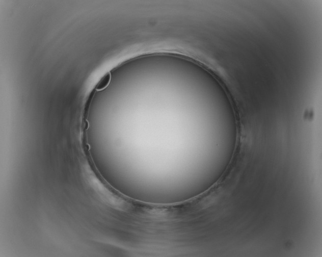 X0000113981512200910021123