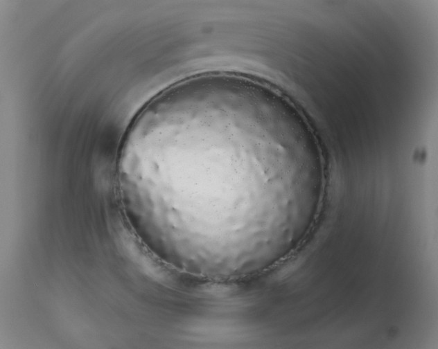 X0000113981513200910021123