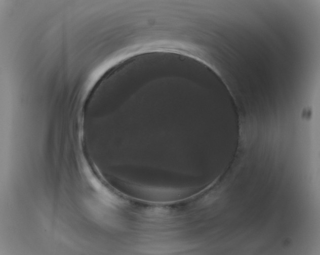 X0000113981515200910021124