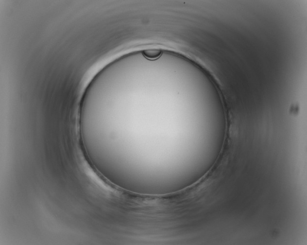 X0000113981516200910021124