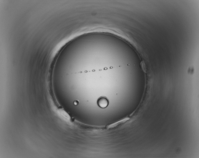 X0000113981518200910021124