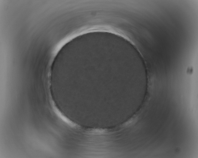X0000113981519200910021124