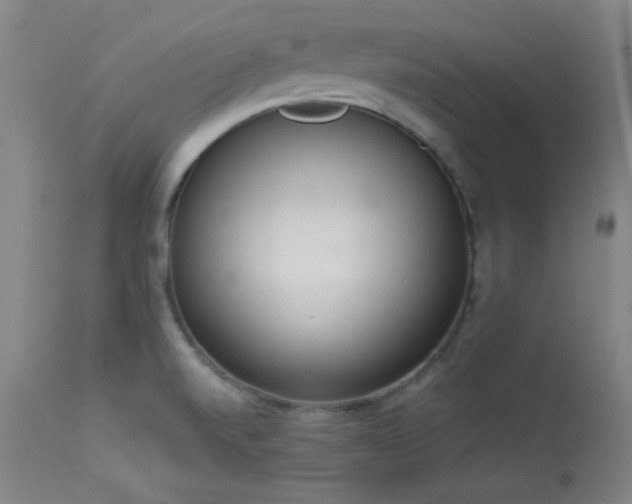 X0000113981520200910021124