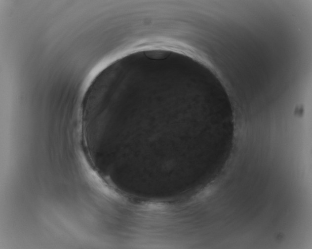 X0000113981522200910021124