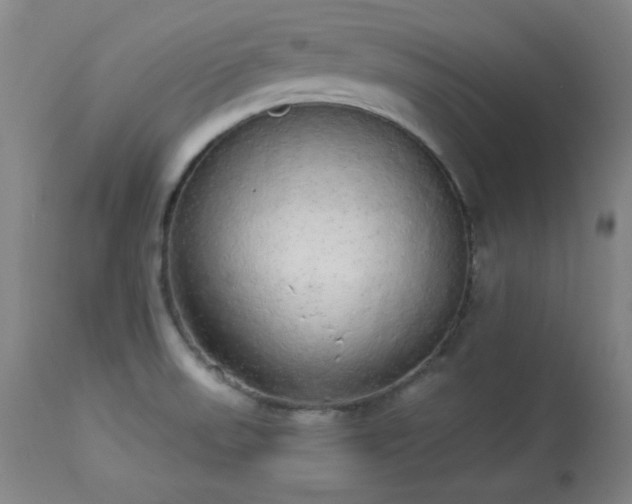 X0000113981523200910021124