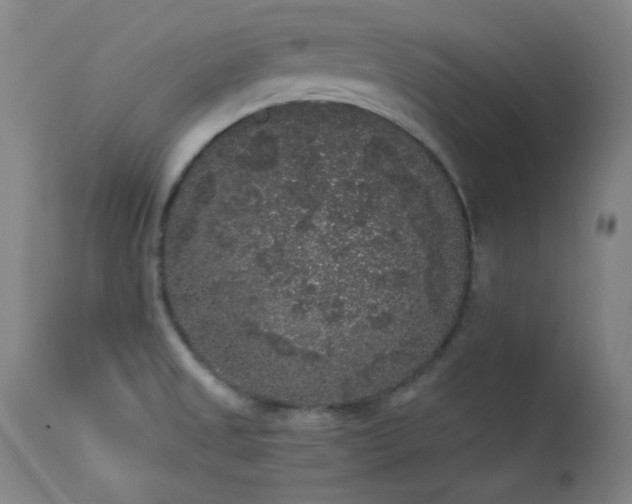 X0000113981525200910021124