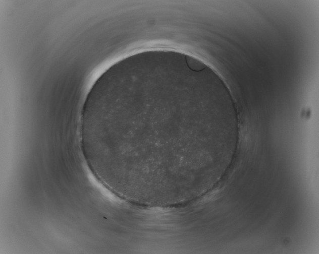 X0000113981527200910021124